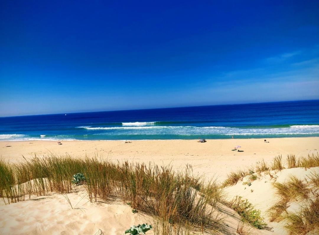 L'Ocean&Dunes Vue A 180° En Bord De Plage Lacanau Luaran gambar