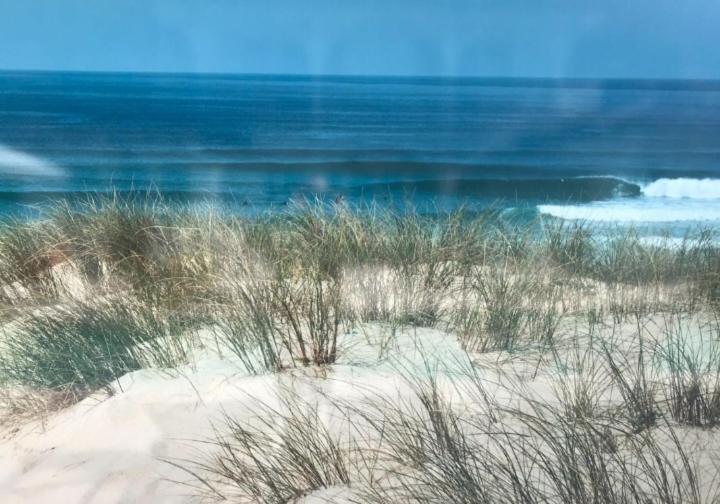 L'Ocean&Dunes Vue A 180° En Bord De Plage Lacanau Luaran gambar